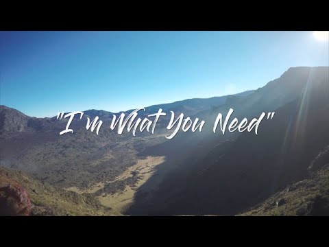 I'm What You Need (Official Lyric Music Video)