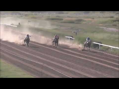 14)Décima Cuarta Carrera- Domingo 05 De Marzo