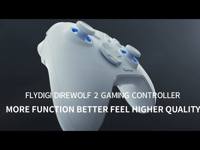 FLYDIGI Direwolf 2