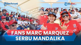Final Race MotoGP Mandalika 2023, Fans Marc Marquez Serbu Sirkuit, Rela Kepanasan untuk Sang Idola