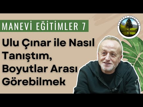 Manevi Eğitimler 7 Ulu Çınar ile Nasıl Tanıştım, Boyutlar Arası Görebilmek | Synergy Kendiyas |