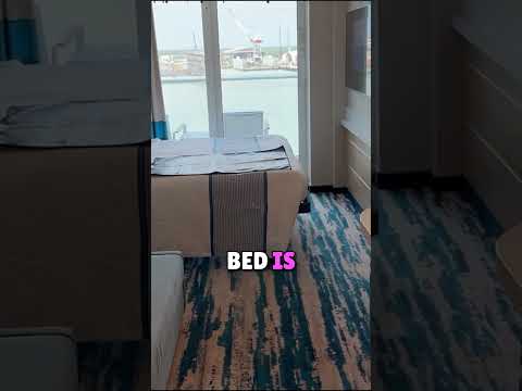 Thumbnail for Inside the Carnival Jubilee Cabin Tour! #shorts