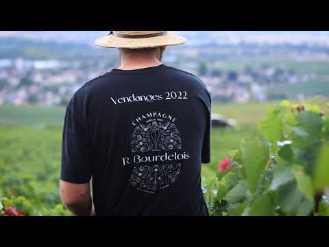 Vendange 2022 : Champagne R. Bourdelois