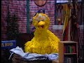 Classic Sesame Street Big Bird Everybody Sleeps Tag