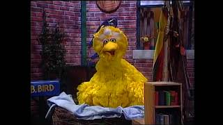 Classic Sesame Street - Big Bird Everybody Sleeps Tag