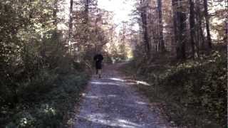 ATROCITY - Die gottlosen Jahre DVD (Trailer) | Napalm Records