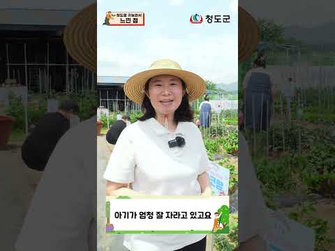 청도로 귀농온지 한 달 차 초보 농부가 느낀 점