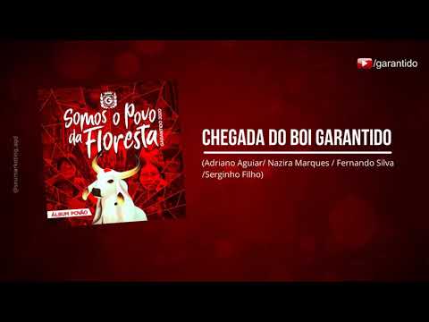 🔴 Chegada do Boi Garantido - Boi Garantido [CD Oficial 2020]