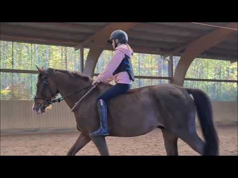 Malu (12) und Zappa - zum ersten Mal ohne Sattel am 29.10.2021