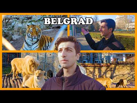 A Day at Belgrade Zoo! | Exploring Serbia Continues!