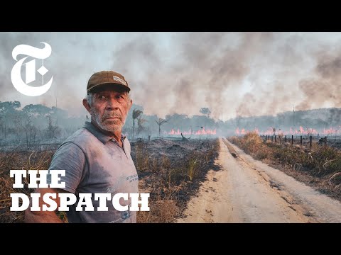 Meet the Ranchers Who Claim the Brazilian Amazon is...