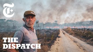 Meet the Ranchers Who Claim the Brazilian Amazon is Theirs to Burn | The Dispatch
