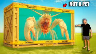 I Bought an Alien Sea Creature Off The Web....