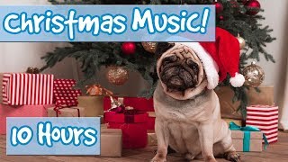 Christmas Music to Relax Dogs! Classic Away in a Manger, Jingle Bells, Deck the Halls, Feliz Navidad