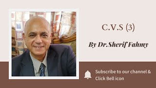 Dr. Sherif Fahmy - C.V.S (3)
