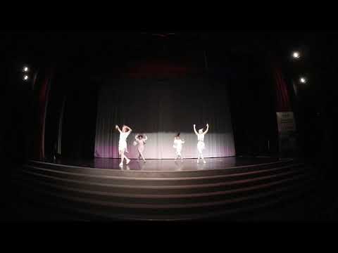 Nipponfest & Hangukon 2019 Kpop Showcase - KARD - Dumb Litty (Couldn't Be Whiter)