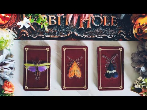 🗣️❤️‍🩹˜”*•CON QUIÉN HABLA DE TI Y QUÉ LE DICE•*”˜🤫💬