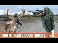 STALKING BUCKS WITH GHILLIE SUITES! - Hunting Giant Texas Whitetail pt. 1