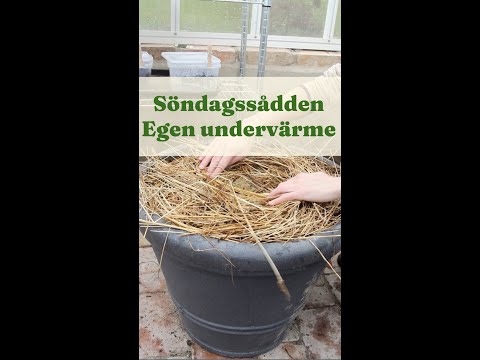 Värmematta till sådden. Söndagssådden - skapa egen undervärme - Trädgårdshacks med GardenR