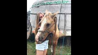 La Coqueta - Laberinto