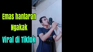 Download lagu SOUND VIRAL TIKTOK  ||PENYANYI EMAS HANTARAN NGAKAK mp3