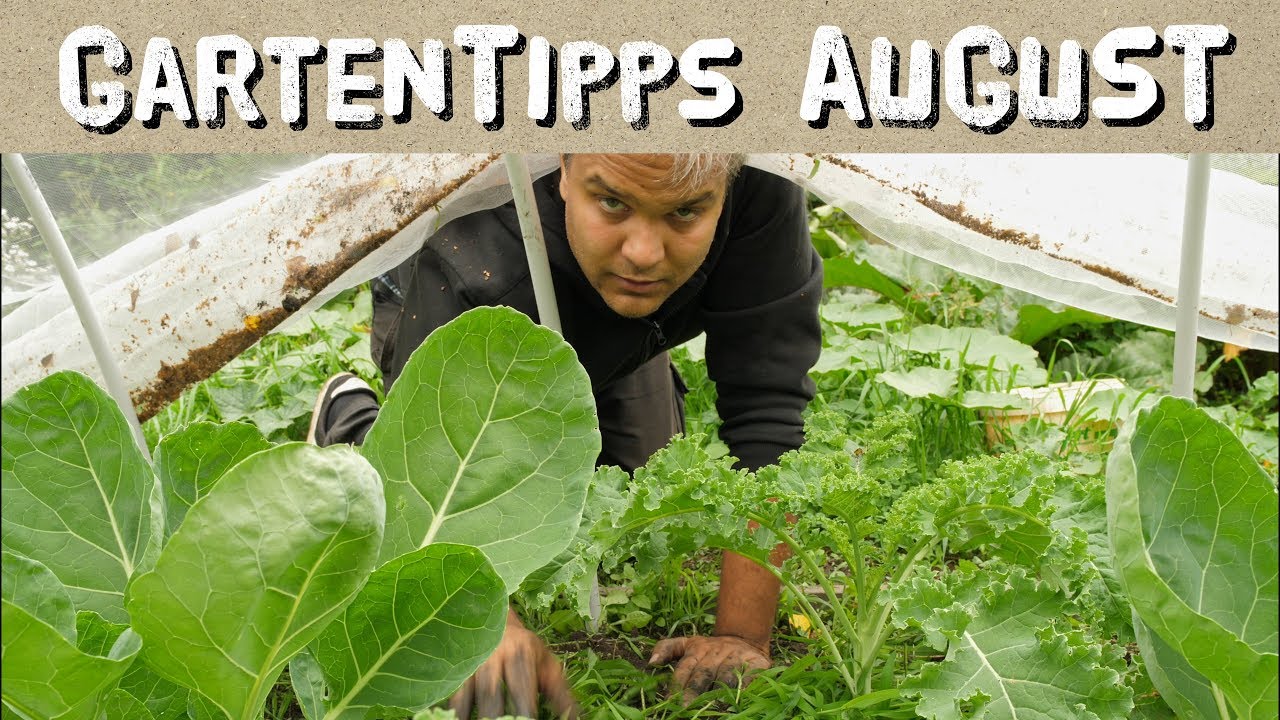 youtube video id=TcLPhKejEe8