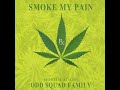 Odd Squad Family Smoke My Pain