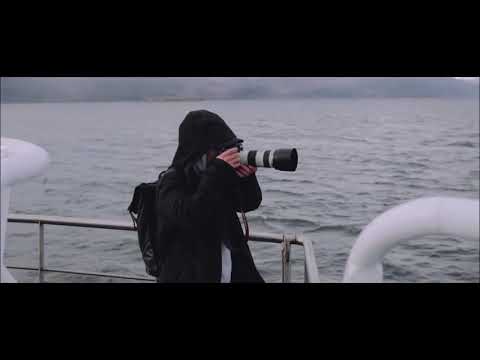 Cat Dealers, Bruno Martini, Joy Corporation - Gone Too Long