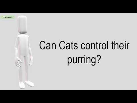 Can Cats Control Their Purring?