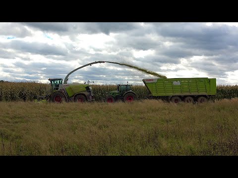 [Mais2021] Neuer Claas Jaguar 970 vom LU Norbert Mäser beim Häckseln mit verschiedenen Abfahrern