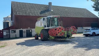 Claas Medion 310 grain harvester for sale - Image 4 | Agroline GB Claas Medion 310 grain harvester | Image 4 - Agroline
