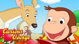 George and the Naughty Deer! 🐵 Full Episodes | Curious George