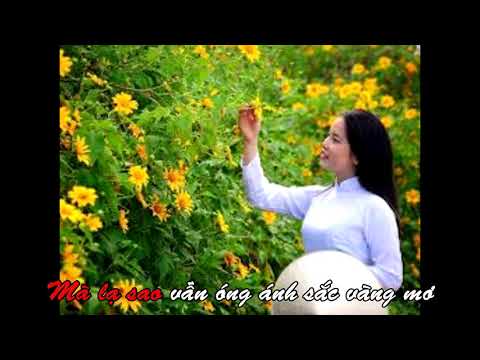 Thể hiện bởi Nâu Hoàng