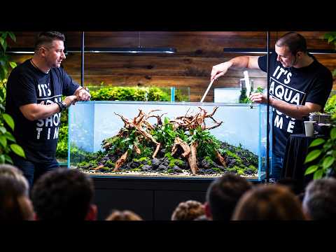Film" Wilk i Zając" w Aquashow