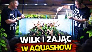 Film" Wilk i Zając" w Aquashow