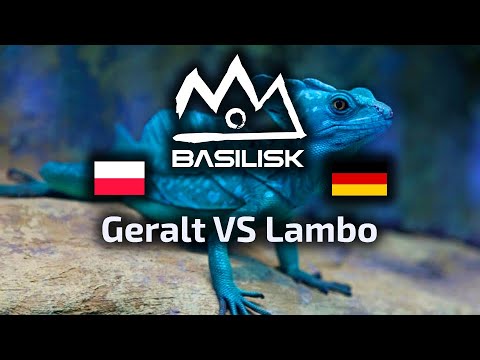 HIT! Geralt VS Lambo PvZ Basilisk Big Brain Bouts #25 polski komentarz