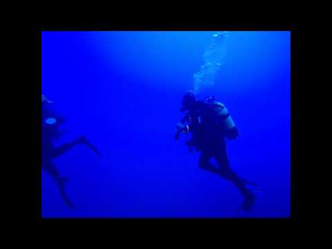 Zanubia Amir and Harel April 2015