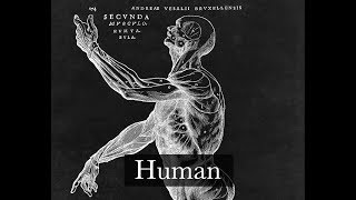 To Be Human — Marina &amp; The Diamonds Instrumental Cover (Harp Vərsion)