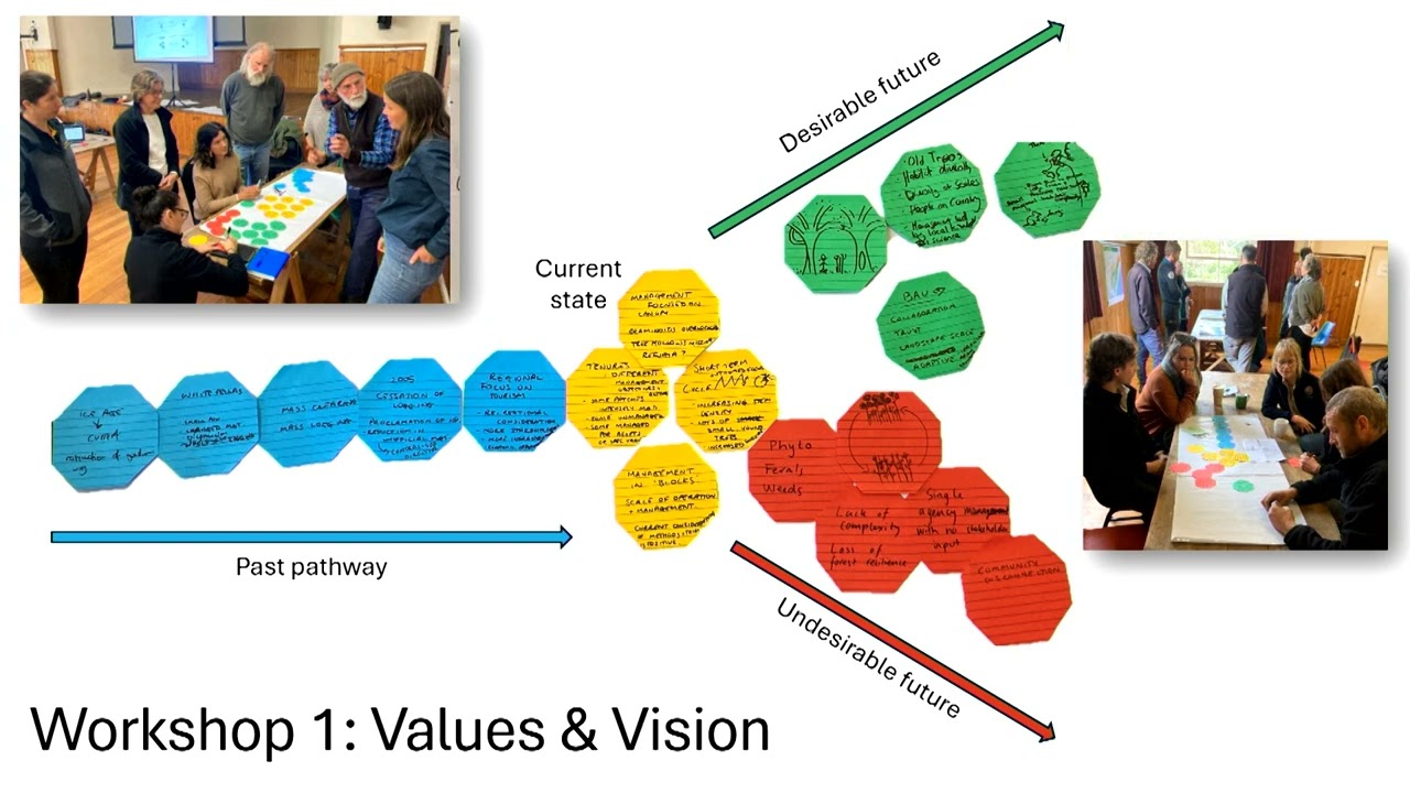 Pathways to Resilience: Climate Adaptations in the Foothill Forests of the Otways. Dr Claire Feniuk
