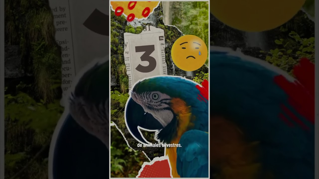 #AltoalTráficodeVidaSilvestre | ¿Eres un turista responsable, aliado de la biodiversidad?