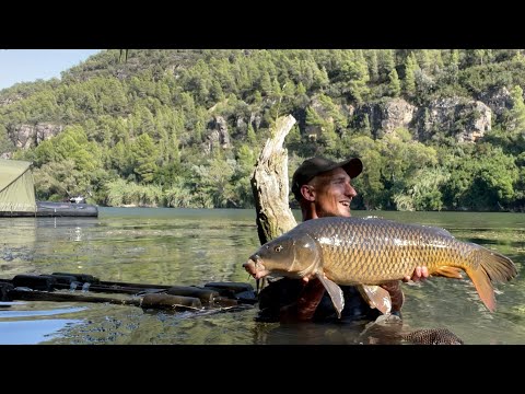 River Carp Fishing Vlog #5 Boat fishing on the Ebro (Part 2)