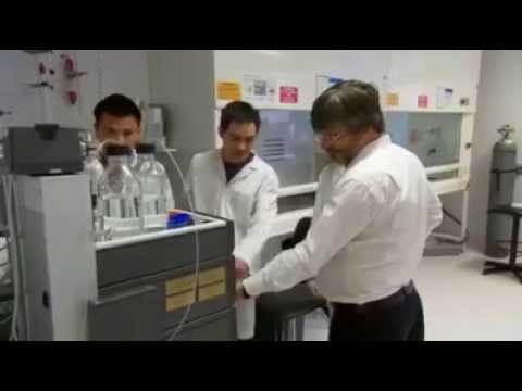 Ramaciotti Medalist 2011: Professor Michael Parker | Perpetual Private