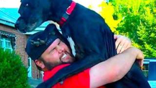 I WRESTLE A GIANT DOG!