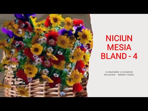 NICIUN MESIA BLAND - 4