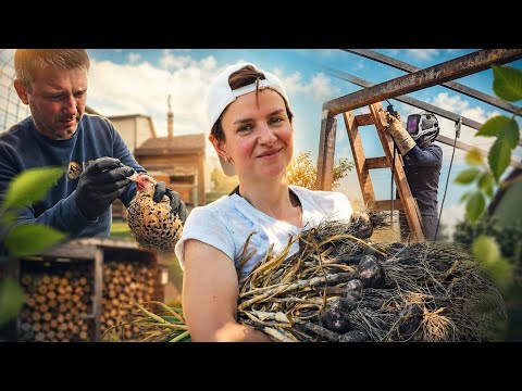 Загородная жизнь в Беларуси. Большой этап работ над навесом окончен. Семейный ВЛОГ.