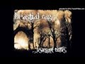 Tears of time (Crematory cover) 