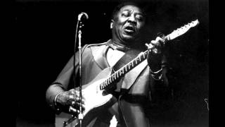 Muddy Waters - Old Love