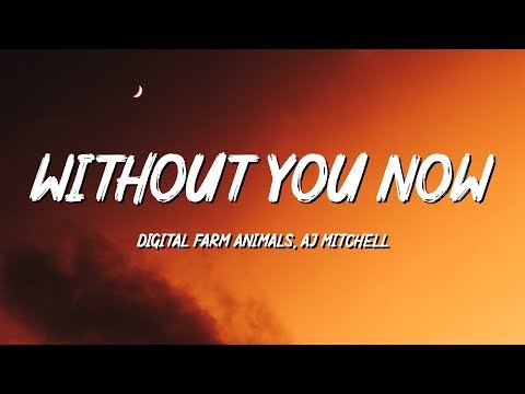 Digital Farm Animals, AJ Mitchell - Without You Now (Lyrics)
