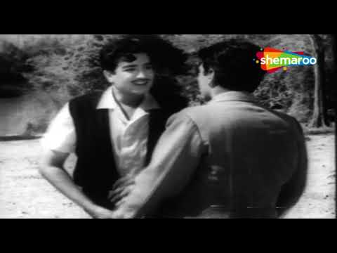Shola Aur Shabnam (1961) Full Movie | Superhit Hindi Movie | शोला और शबनम | Dharmendra, Tarla Mehta