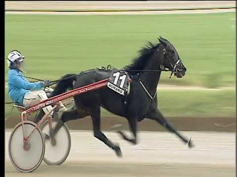 Trotto 04/05/2018 - 7ª corsa